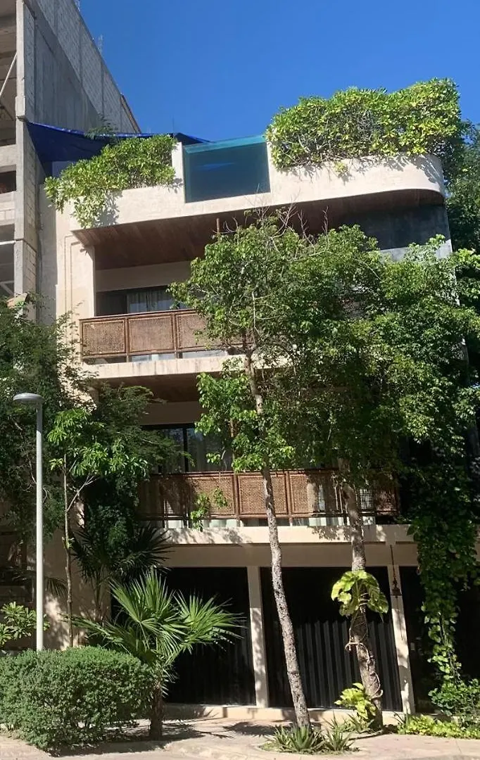 Exclusive 20 Guest Hotel Pool Tubs And Concierge Tulum 0*,  Mexico